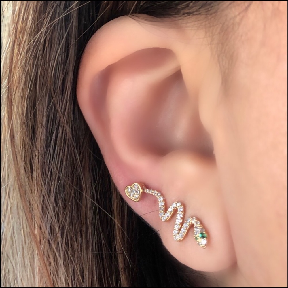 Snake earrings 🐍